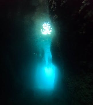 武藤潜水に投稿された画像（2024/7/9）