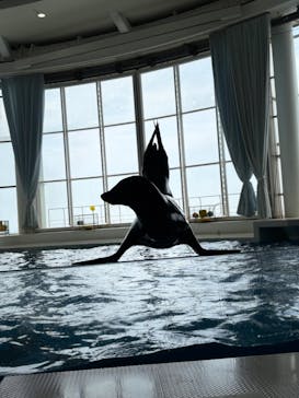 アクアワールド茨城県大洗水族館に投稿された画像（2024/7/9）