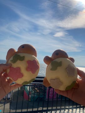 新江ノ島水族館に投稿された画像（2024/7/9）