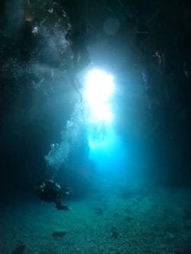 武藤潜水に投稿された画像（2024/7/9）