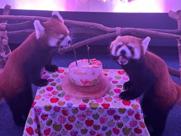 横浜・八景島シーパラダイスに投稿された画像（2024/7/9）