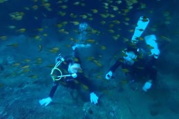 アクアティックアドベンチャーに投稿された画像（2024/7/9）