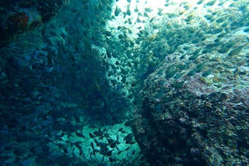 アクアティックアドベンチャーに投稿された画像（2024/7/9）