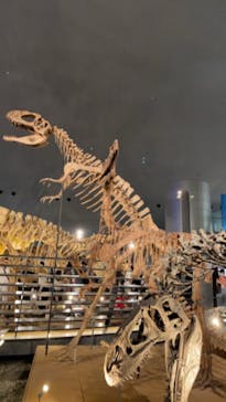福井県立恐竜博物館に投稿された画像（2024/7/9）