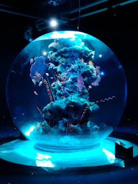 AQUARIUM × ART　atoaに投稿された画像（2024/7/9）