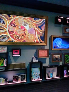 AQUARIUM × ART　atoaに投稿された画像（2024/7/9）