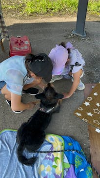 ヒートバルーン物語 昇竜会場に投稿された画像（2024/7/9）