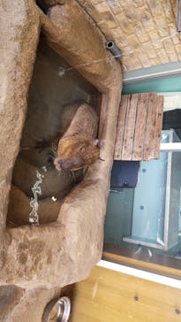 湘南モノレール大船駅に投稿された画像（2024/7/9）