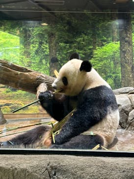 恩賜上野動物園に投稿された画像（2024/7/9）