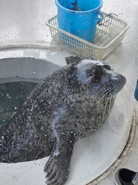 しながわ水族館に投稿された画像（2024/7/9）