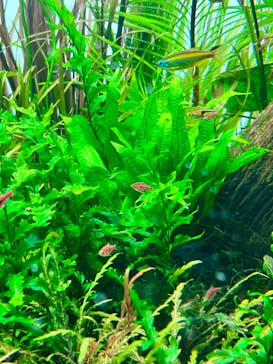 AOAO SAPPOROに投稿された画像（2024/7/9）