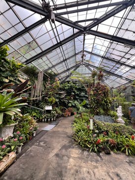 熱川バナナワニ園に投稿された画像（2024/7/9）