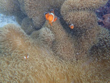 nico 宮古島に投稿された画像（2024/7/8）