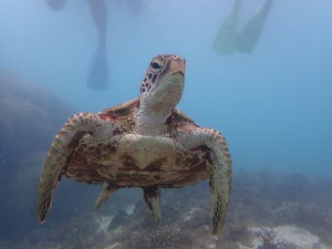 nico 宮古島に投稿された画像（2024/7/8）