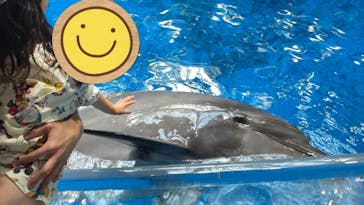 マクセル アクアパーク品川に投稿された画像（2024/7/9）