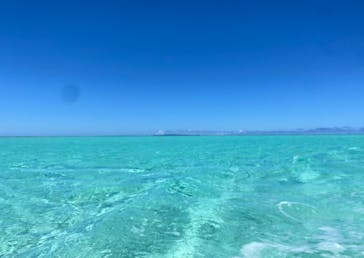 Muuruに投稿された画像（2024/7/9）