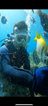 武藤潜水に投稿された画像（2024/7/9）