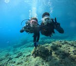 青の洞窟専門店　沖縄ダイビングショップ和に投稿された画像（2024/7/10）