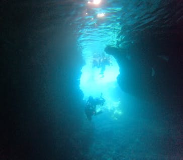 沖縄マリンサービス碧に投稿された画像（2024/7/10）