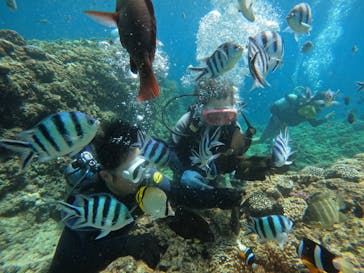 武藤潜水に投稿された画像（2024/7/10）