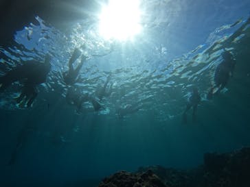 武藤潜水に投稿された画像（2024/7/10）