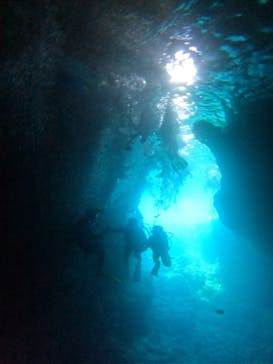 武藤潜水に投稿された画像（2024/7/10）