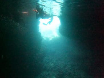 武藤潜水に投稿された画像（2024/7/10）