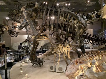 国立科学博物館に投稿された画像（2024/7/10）