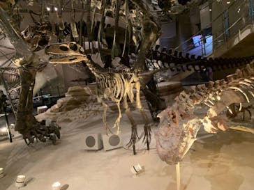 国立科学博物館に投稿された画像（2024/7/10）