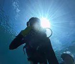 武藤潜水に投稿された画像（2024/7/10）