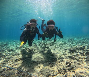 武藤潜水に投稿された画像（2024/7/10）