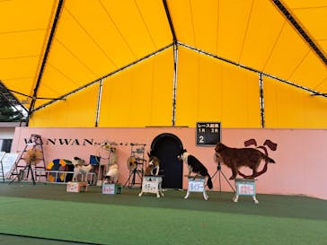 つくばわんわんランドに投稿された画像（2024/7/10）