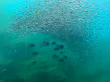 仙台うみの杜水族館に投稿された画像（2024/7/10）