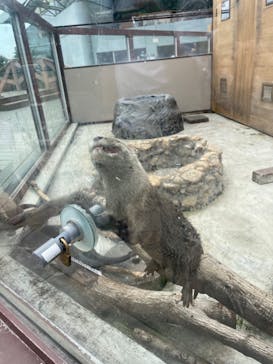 横浜・八景島シーパラダイスに投稿された画像（2024/7/10）