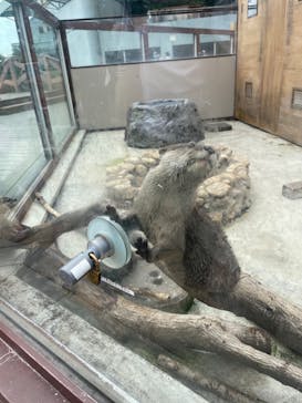 横浜・八景島シーパラダイスに投稿された画像（2024/7/10）