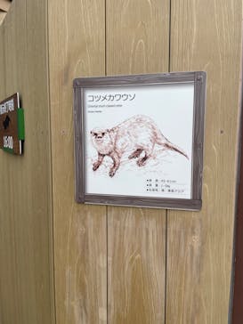 横浜・八景島シーパラダイスに投稿された画像（2024/7/10）