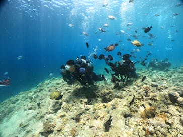 武藤潜水に投稿された画像（2024/7/10）