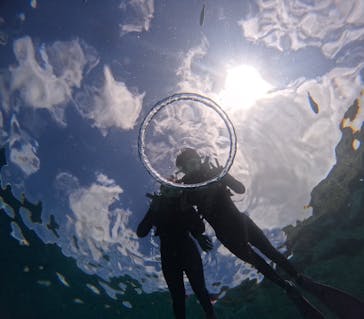 沖縄マリンサービス碧に投稿された画像（2024/7/10）