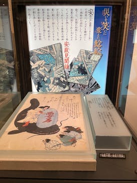 国立科学博物館に投稿された画像（2024/7/10）