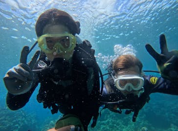 武藤潜水に投稿された画像（2024/7/10）