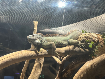 カワスイ 川崎⽔族館に投稿された画像（2024/7/10）