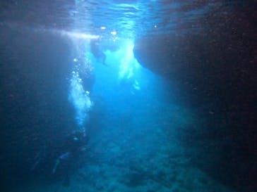 武藤潜水に投稿された画像（2024/7/10）