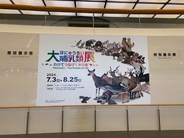 大哺乳類展に投稿された画像（2024/7/10）