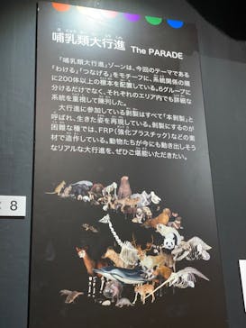 大哺乳類展に投稿された画像（2024/7/10）