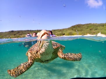 初心者専門宮古島シュノーケリングツアーに投稿された画像（2024/7/10）