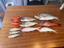 宮古島釣り船PANANAに投稿された画像（2024/7/10）