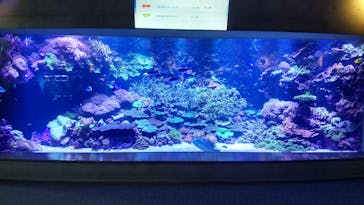 大分マリーンパレス水族館 「うみたまご」に投稿された画像（2024/7/10）