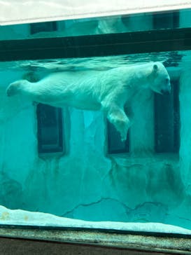 恩賜上野動物園に投稿された画像（2024/7/10）
