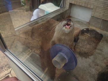 下田海中水族館に投稿された画像（2024/7/10）