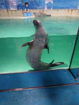 下田海中水族館に投稿された画像（2024/7/10）